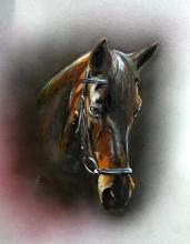 diprose art horse painting acrylic portrait